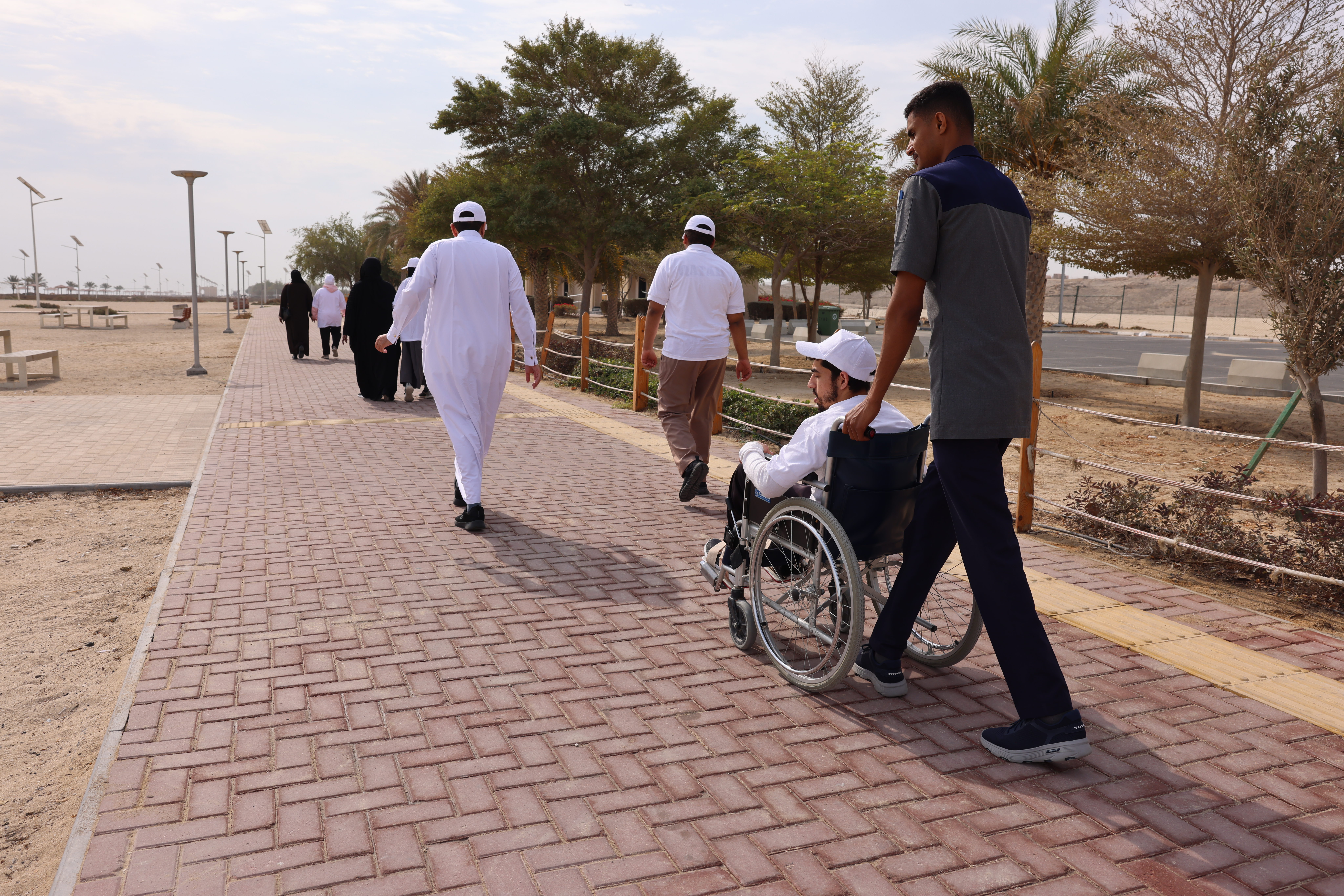 Barrier-Free Steps Initiative 